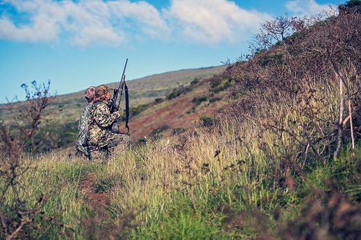 The Deer Population Is Devastating Maui. Hunters Want To Help