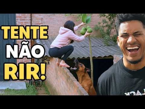 🔴RETROSPECTIVA 2025 - VÍDEOS MAIS ENGRAÇADOS DE MAIO E JUNHO - TENTE NÃO RIR 🔴