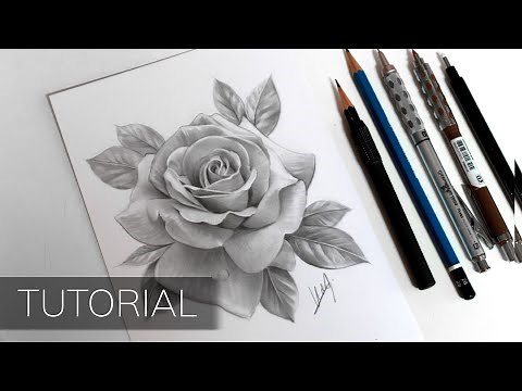 Tutorial - How to Draw a Realistic Rose