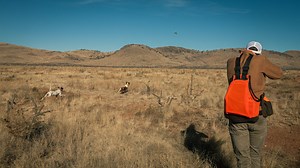 SOUND ON! Presenting our Upland '18 Film... "We're walking probably on average anywhere from 10-14 miles a day after these scaled quail. It's a function of their running nature. So if you're going to walk after these birds and try to hunt them over pointing dogs, you're going to work for it." #DuckCampFilms #QuailHunting #BlueQuail #Wingshooting | Duck Camp