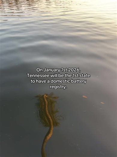 Tennessee is set to make history on January 1, 2026, with the launch of the nation’s first domestic violence offender registry. The initiative, known as Savanna’s Law, is designed to enhance public safety and awareness by establishing a publicly searchable database of repeat domestic violence offenders. Maintained by the Tennessee Bureau of Investigation, the registry will provide key details including an offender’s name, date of birth, photograph, conviction dates, and specific offense informat