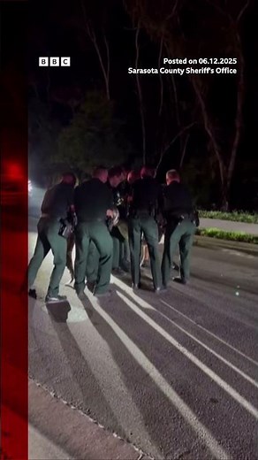 The animal was taken to a Florida alligator farm, where it was released.#Alligator #BBCNews