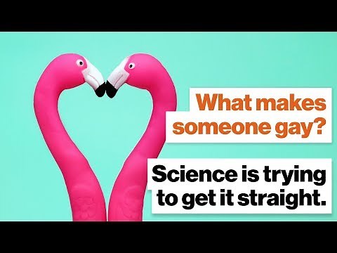 What makes someone gay? Science is trying to get it straight. | Alice Dreger | Big Think