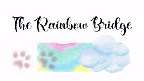 Rainbow Bridge Pet Loss Poem: Watercolor Paw Prints (digital Download) - Etsy