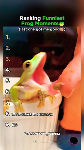 Top 9 Frog Moments That'll Make You LOL
