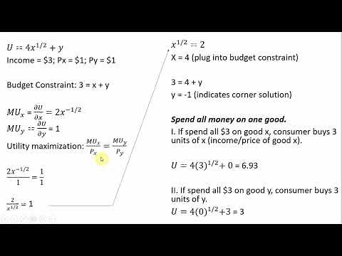 Utility Maximization: A Corner Solution