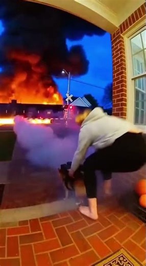 It's So Cute When Puppy Happens ❤️