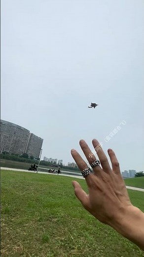 Flying Fox Training #Round-Trip Trick Flying# Soaring Training #Animal's Weird Behaviors