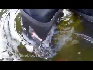 Walk in latex and flooding Waders Hunter.Part-2(17/04/16)