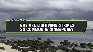 🌩️ Seen some electrifying photos of lightning-lit skies over Singapore and wonder why lightning strikes are so common here? Find out in our latest episode of #LetsAskMSS, where Meteorological Service Singapore colleagues, Thiru and Avester shed light on how lightning is formed and which parts of the island experience more lightning. ⚡ Visit www.weather.gov.sg to find out more. #SGWeather #WeatherWednesday | National Environment Agency (NEA)