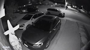 8.5K views · 29 reactions | You never know what you'll catch on a Vivint camera. Share your videos with us here: https://bit.ly/2UL8dxd | Vivint | Facebook