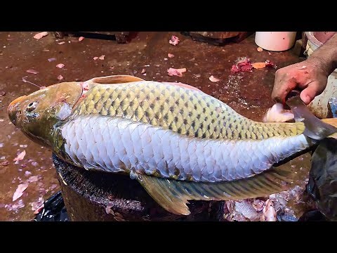 I Built A Giant Carp Cutting Board! Carp Fish Cutting Expert In Fish Markets | Fish fillets