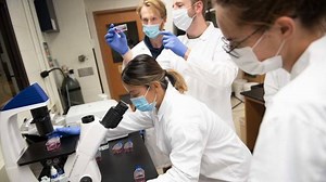 Materials Science and Engineering