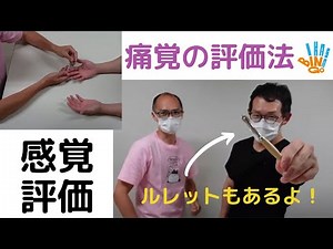 【感覚評価】痛覚検査の実際：針とルレット