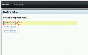 VxRail: How to reset the BIOS settings to default and set system time and date.