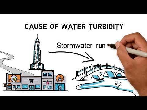 Water turbidity - Dangers of cloudy river and drinking water