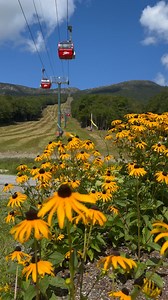 430 reactions · 40 shares | The Gondola SkyRide at @stowemt is now open for the summer season ☀️ Soar up Vermont’s tallest peak to take in the incredible, sprawling views from the top. The iconic red Gondola cabins are a staple must-visit when you’re in Stowe ❤️ | Go Stowe | Facebook