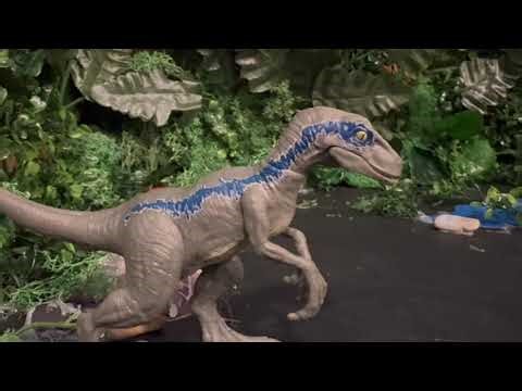 Fun Facts about Velociraptor