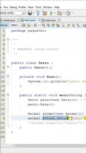 ENCAPSULATION in JAVA with NETBEANS 💻 [Object Oriented Programming]