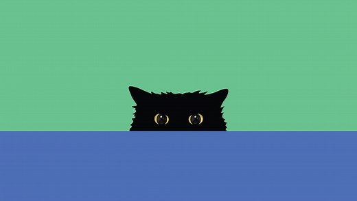 How to Hide Elements with CSS on Your Website