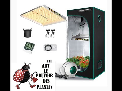 Jardinage d'intérieur : Mars Hydro TS 1000W Kits complets tente de culture végétale intérieure