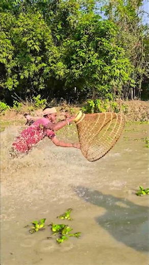 Wow! Amazing Polo Fishing Videos ! Best Big Fish Catching ! Primitive Technique fishing #fish #india