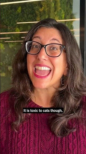 Treat Your Clothes for Ticks In Advance