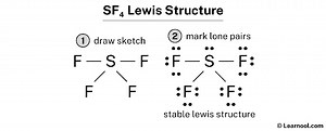 SF4 Lewis structure - Learnool