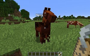 Where to find name tags in Minecraft?