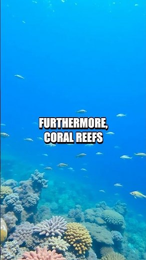 The Enigmatic Impact of Coral Reefs on Global Ecosystems