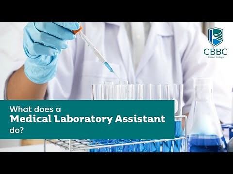 What does a Medical Laboratory Assistant do?