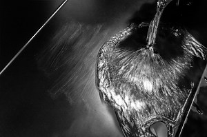 XPEL STEALTH - Get the Best Satin PPF in the Industry at Protex