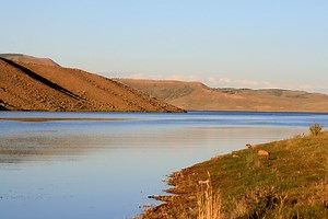 Strawberry Reservoir Kokanee Salmon Fishing - Kokanee Fishing
