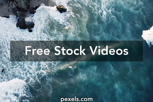 Best Nature Videos