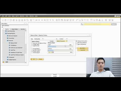 Guide on How to Generate a Balance Sheet on SAP B1?