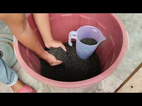 “Cheap & Easy Hydroponic Dutch Bucket System for Mini Tomatoes – Recycled Bottles Edition”