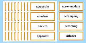 Year 5 and 6 Word List Word Cards