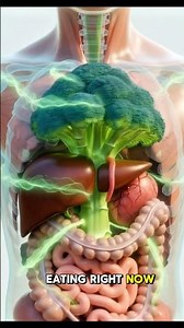 The 10 Best High Protein Foods (Ranked)