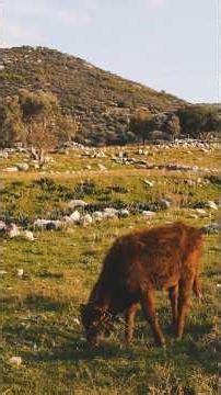 Pasteurization Process | Why Milk is Pasteurized? Food Science Tamil #tamilshorts #shorts #science