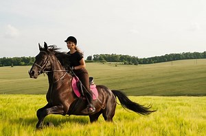 How To Ride A Horse For Beginners: Ultimate Guide