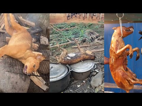 How to cook and eat dog in Cameroon #Dogmeat #Eatingdog || ‪@Kenyansvsfood‬#subscribetomychannel