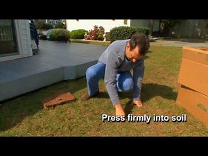 Planting Amazoy Zoysia Grass Plugs 2017 No Scoring