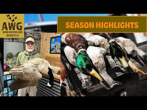 Waterfowl Season Highlights Arizona Duck Hunting