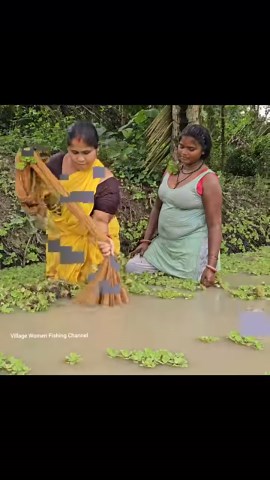 225K views · 1.4K reactions | Amazing village women fishing #reels #fishing #women #hunting | Village Women fishing Channel | Facebook