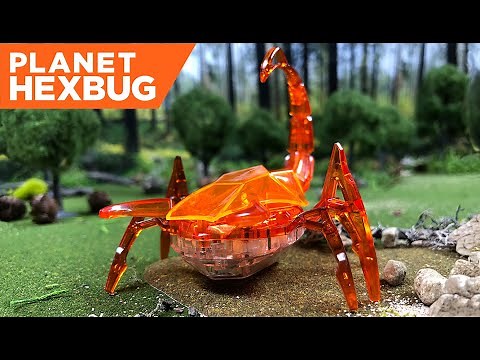 Planet HEXBUG - Episode 1: The Scorpion