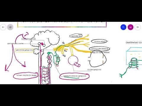 PUPILLARY LIGHT REFLEX || PARASYMPATHETIC & SYMPATHETIC SUPPLY Of PUPIL ||