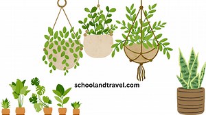 How to Become an Arborist (Meaning, Career, Benefits, FAQs)