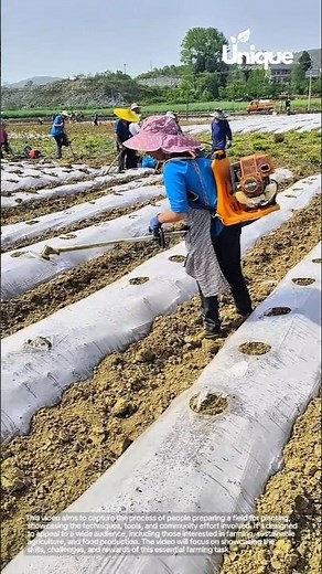 Farming for beginners: a simple guide to preparing field