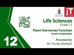 Gr 12 Life Sciences - Plant Hormones - 1 Plant Hormones Function