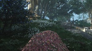 How to collect a Cat's Footfall in Assassin's Creed Valhalla